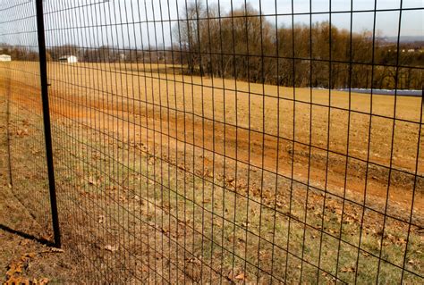 welded steel wire fabric fencing